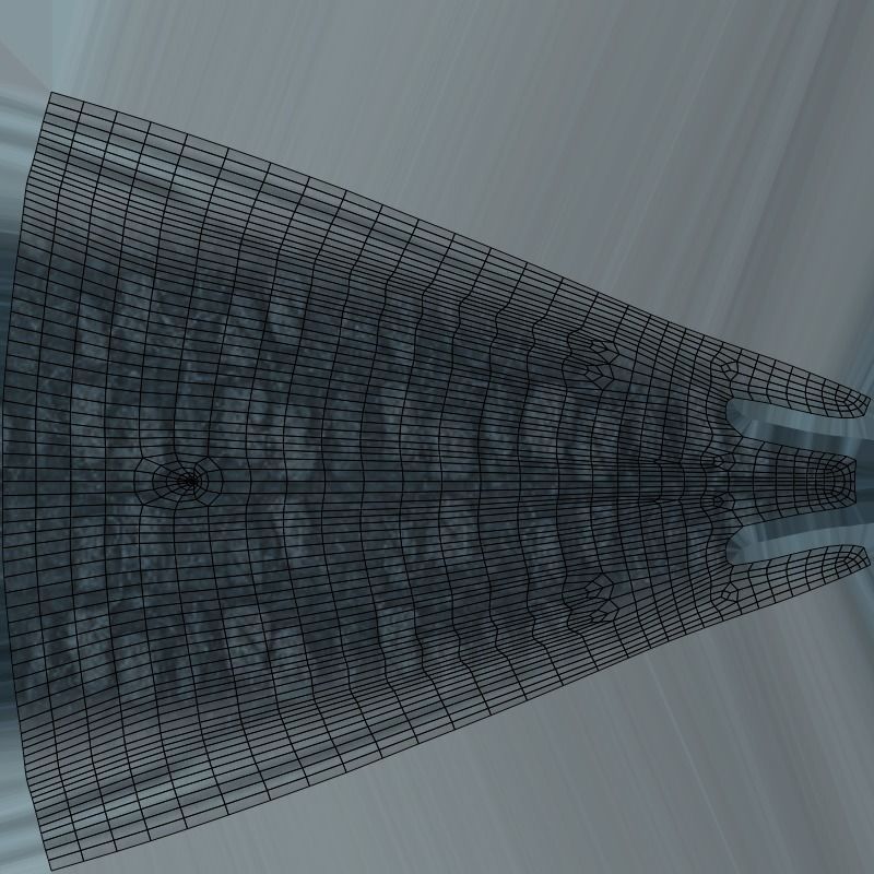 Realistic Blue Whale Rigged Low-poly 3D model_33