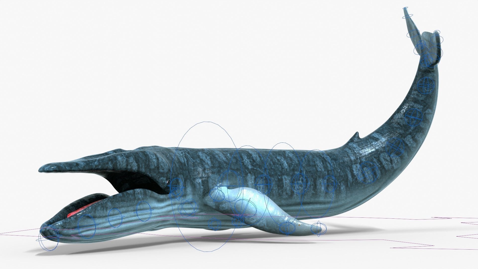 Realistic Blue Whale Rigged Low-poly 3D model_1