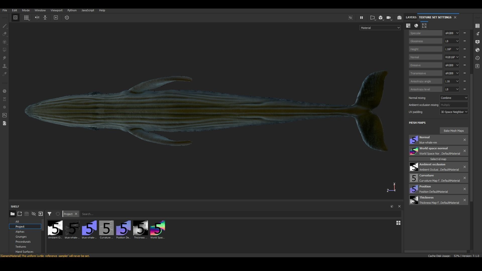 Realistic Blue Whale Rigged Low-poly 3D model_25