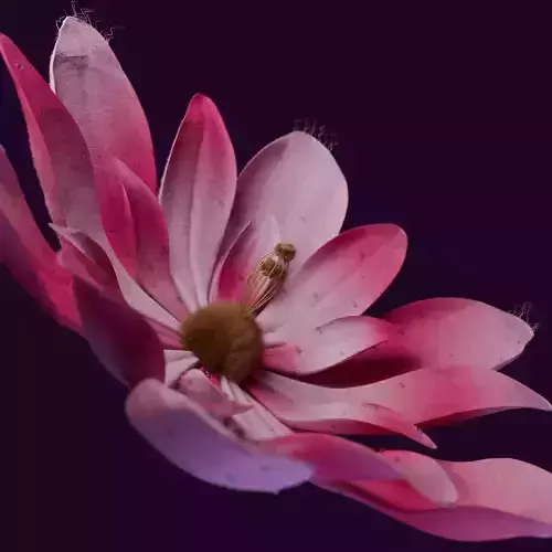 Realistic Flower