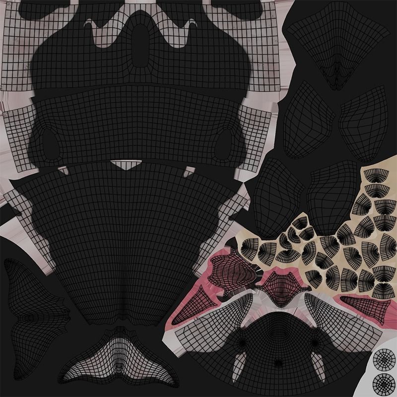 Realistic Killer Whale Low-poly 3D model_21