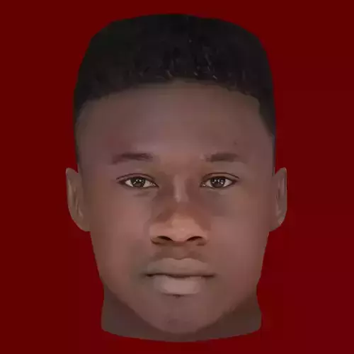 Eduardo Camavinga Head - Low poly head for game
