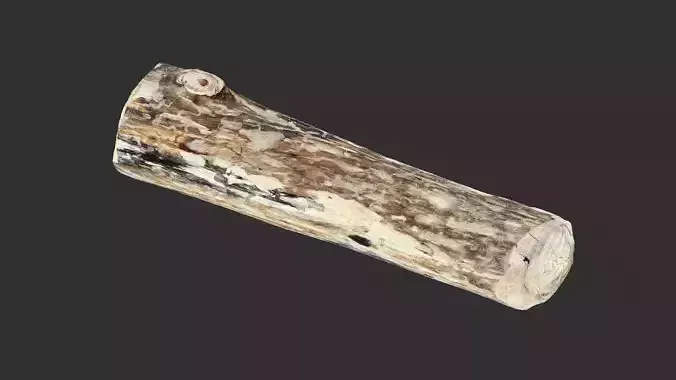 Mottled tree trunk wood 3d scan highpoly