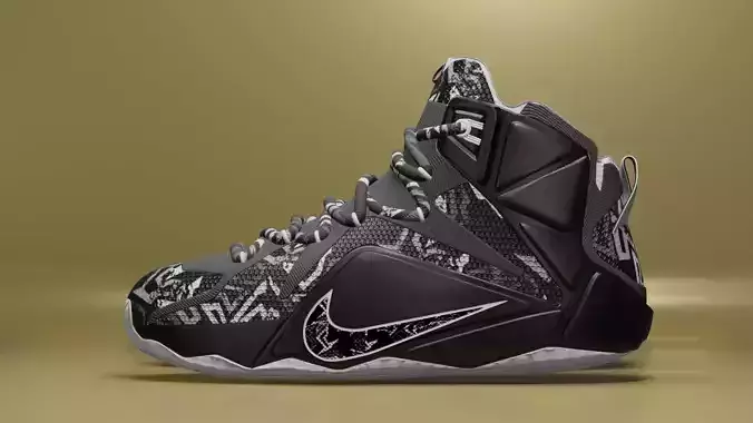 Nike Lebron black and white