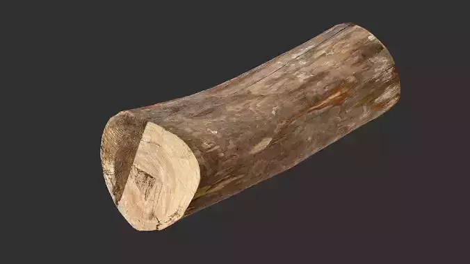 Tree trunk wood 3d scan highpoly