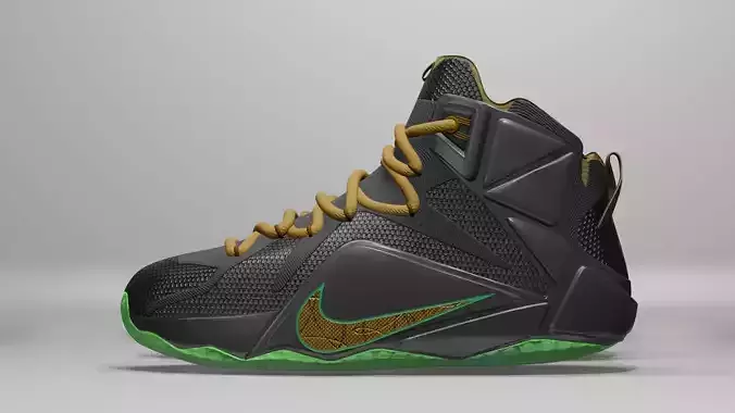 Nike Lebron black neo