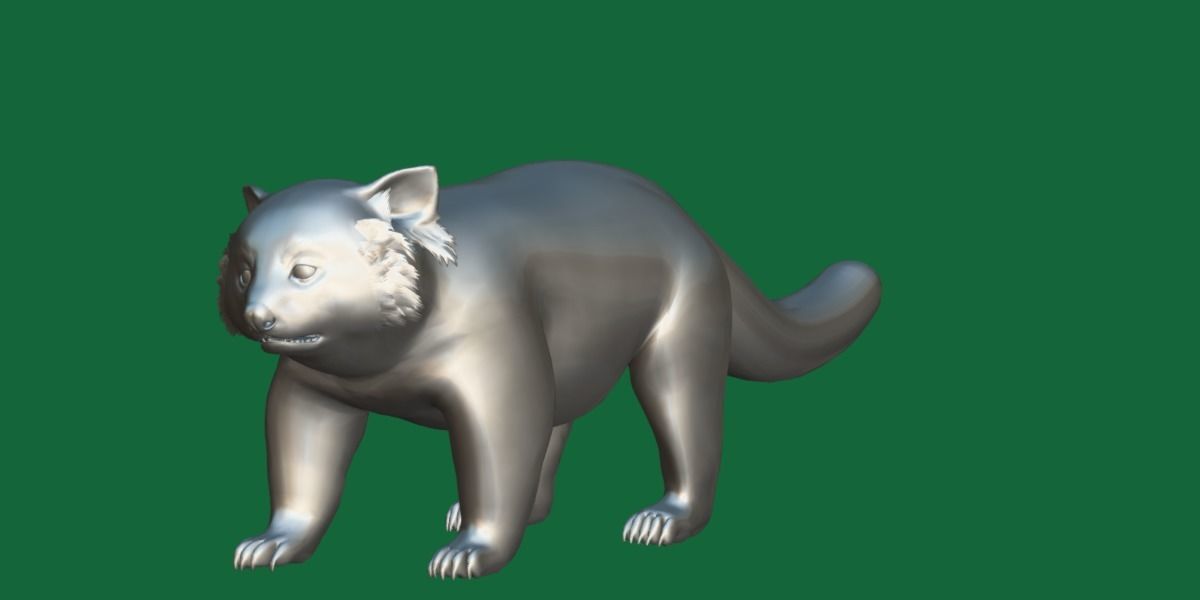 Red Pandas Mammal 3D model_4