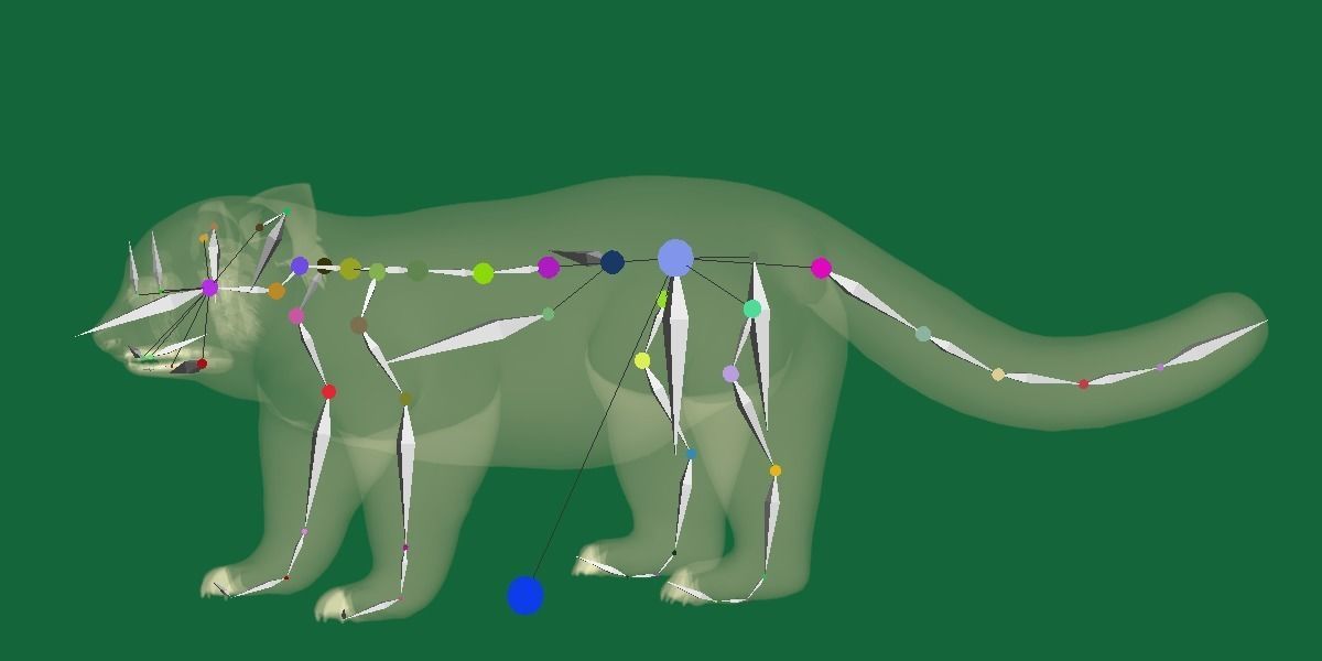 Red Pandas Mammal 3D model_15