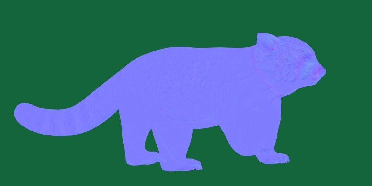 Red Pandas Mammal 3D model_19