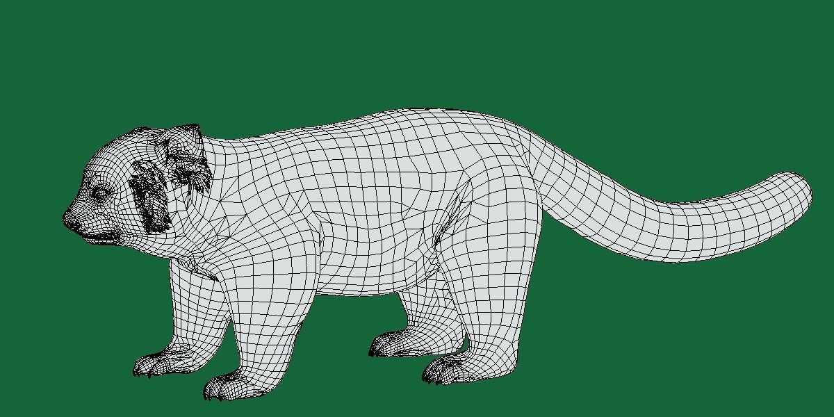 Red Pandas Mammal 3D model_7