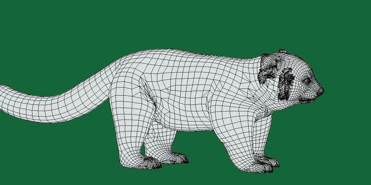 Red Pandas Mammal 3D model_6