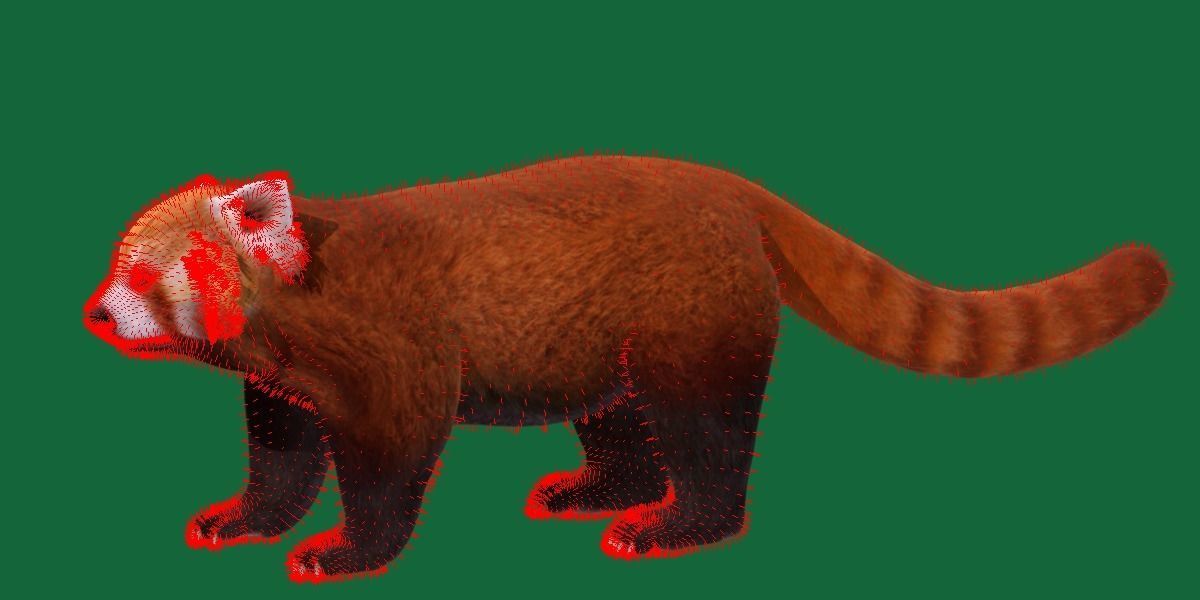 Red Pandas Mammal 3D model_8