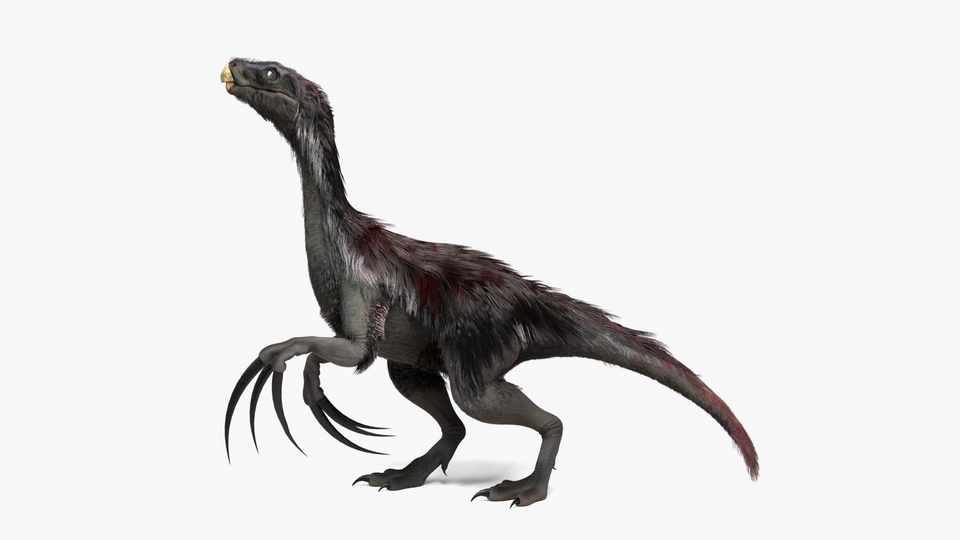 Realistic Therizinosaurus Rigged and Animated Low-poly 3D model_1