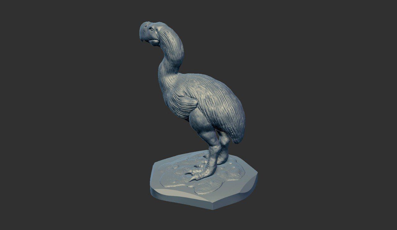 Prehistoric Terror bird 3D print model_16