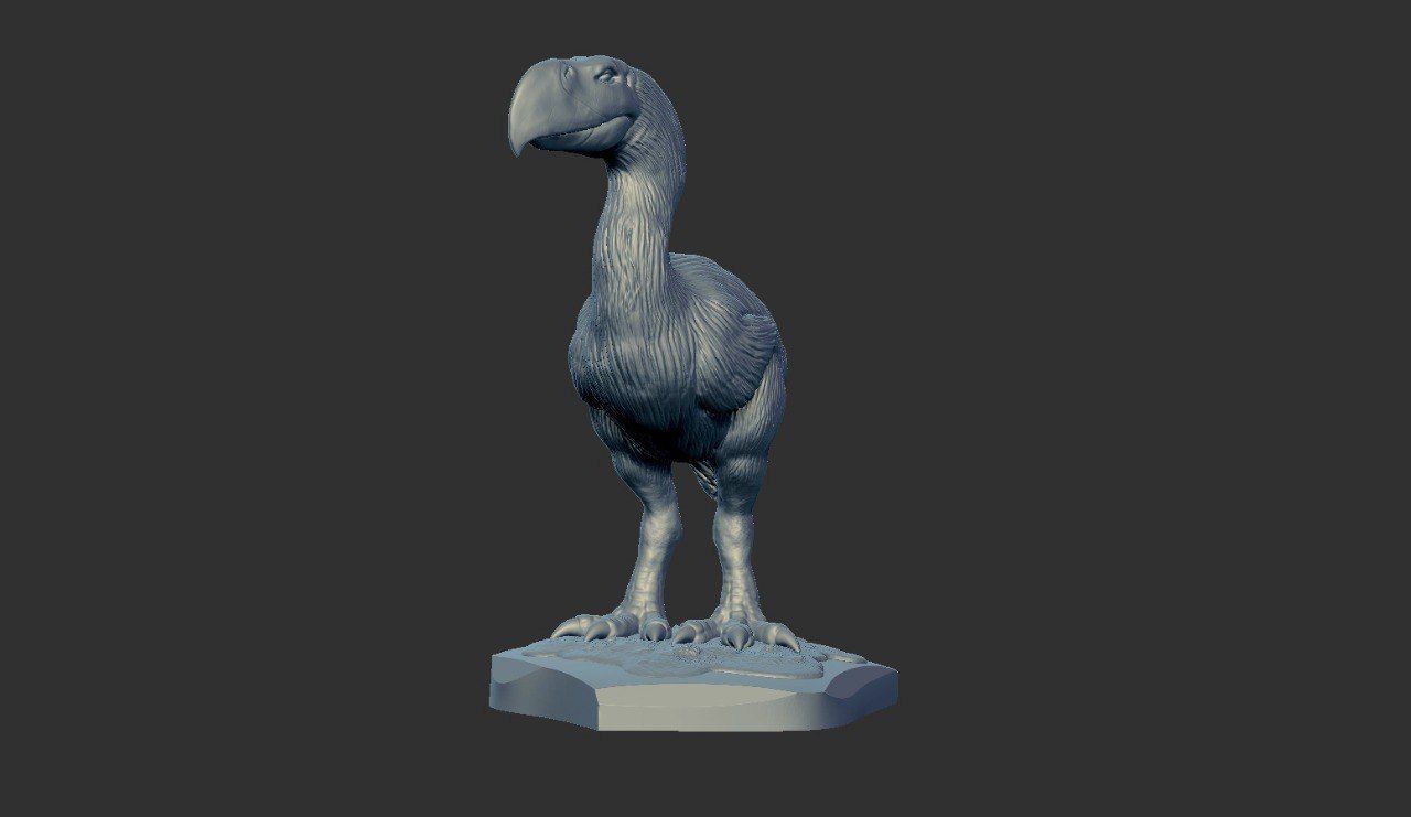 Prehistoric Terror bird 3D print model_12