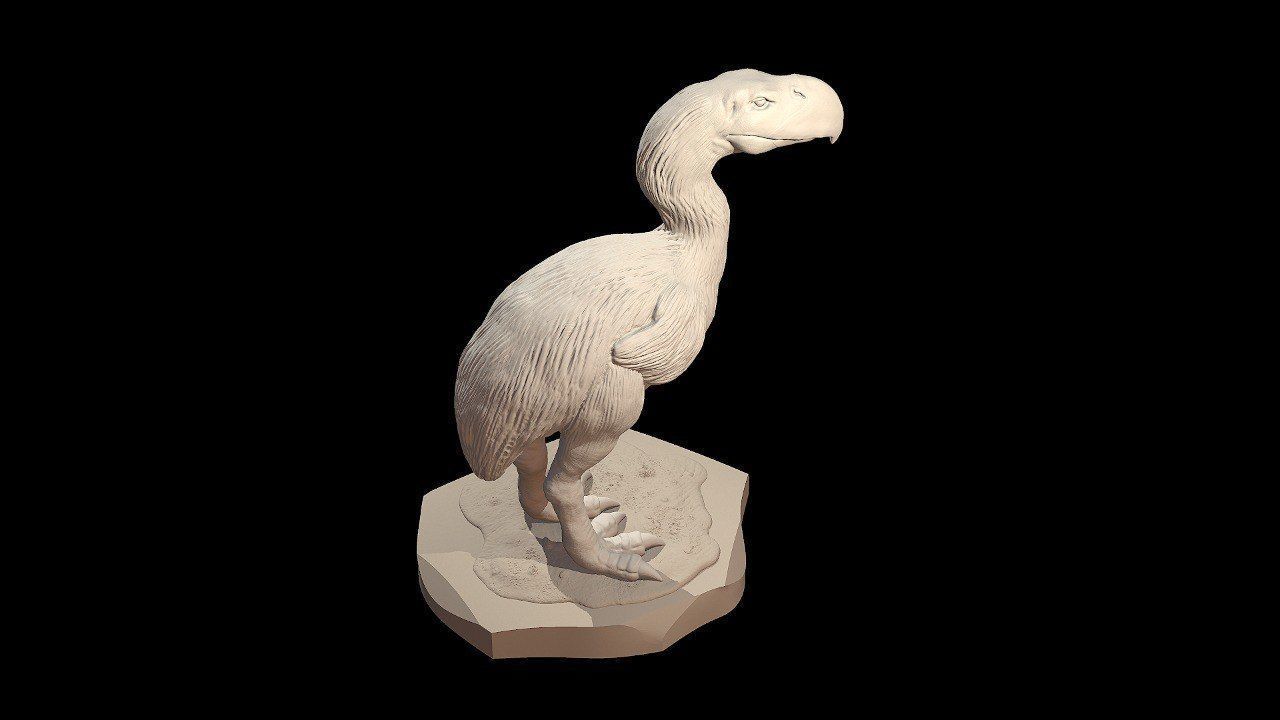 Prehistoric Terror bird 3D print model_5