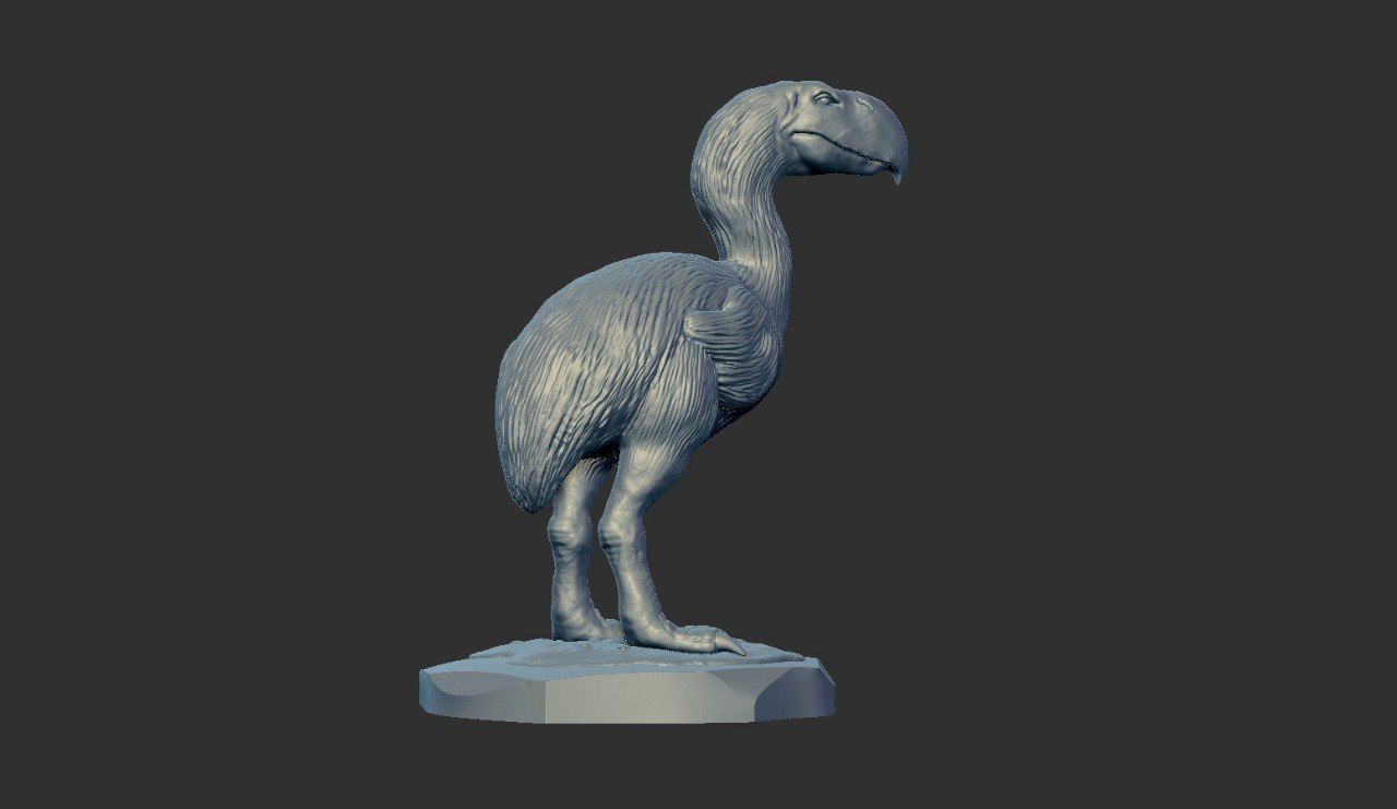 Prehistoric Terror bird 3D print model_14
