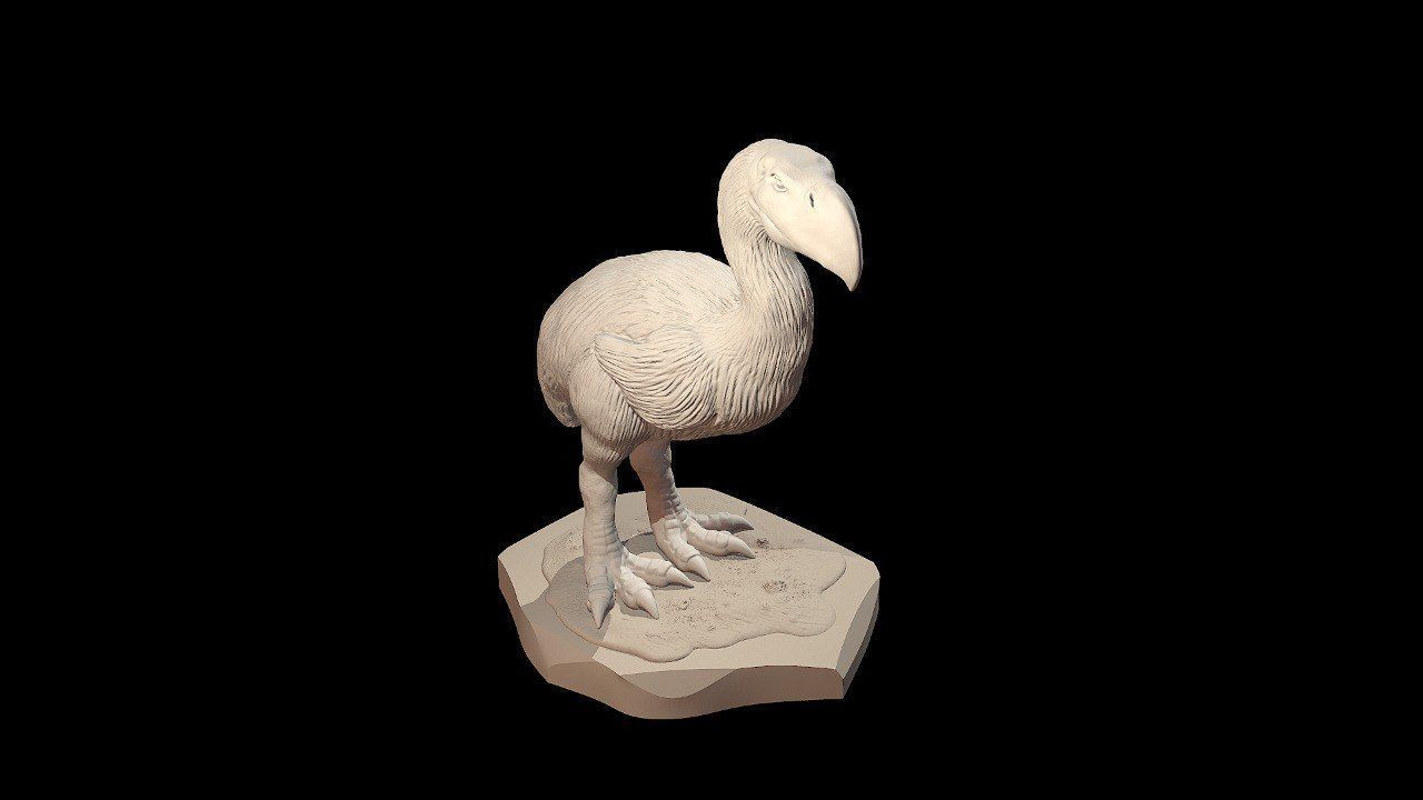 Prehistoric Terror bird 3D print model_7