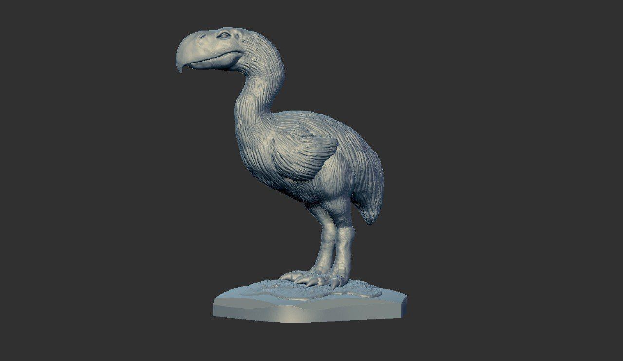 Prehistoric Terror bird 3D print model_11