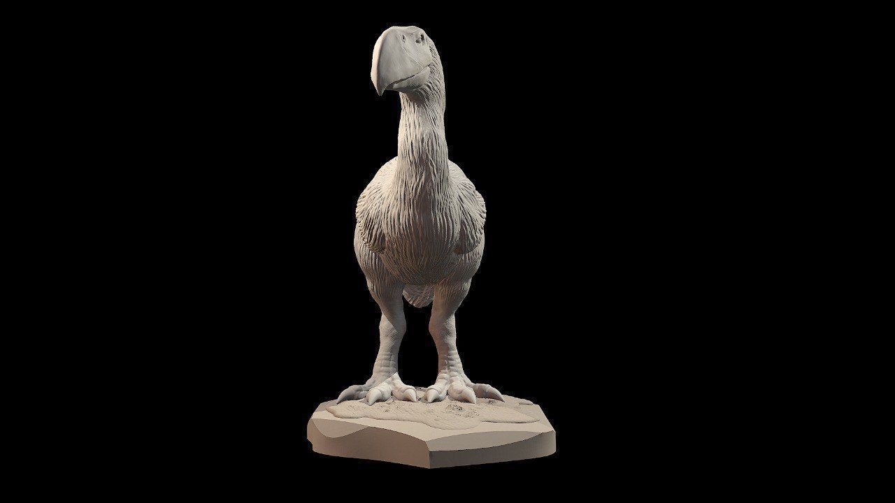 Prehistoric Terror bird 3D print model_3