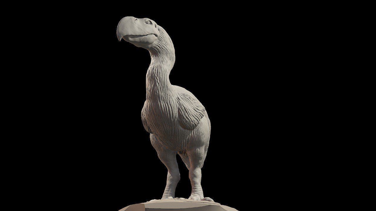 Prehistoric Terror bird 3D print model_10