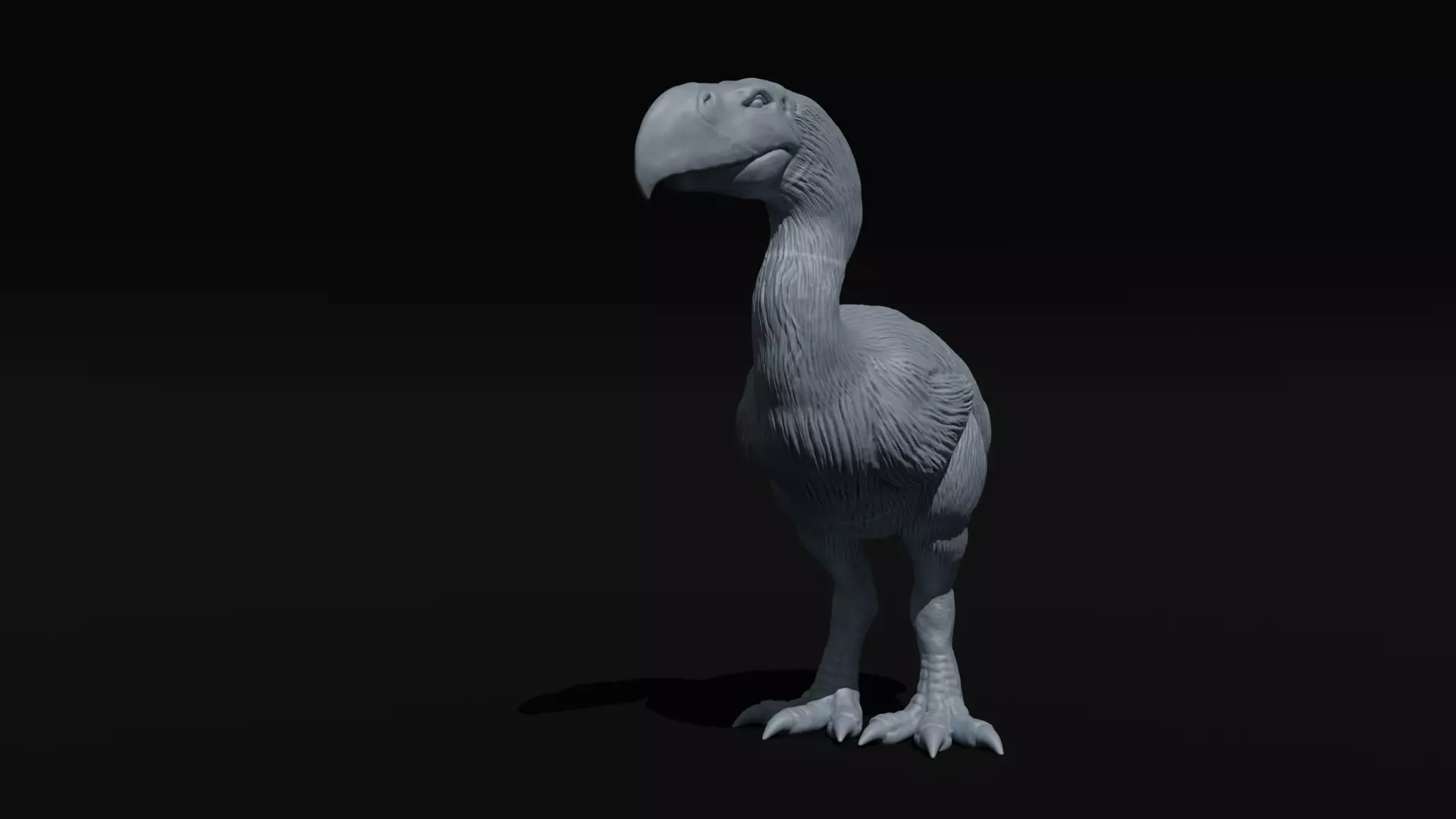 Prehistoric Terror bird 3D print model_0