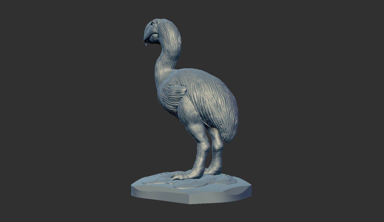 Prehistoric Terror bird 3D print model_13