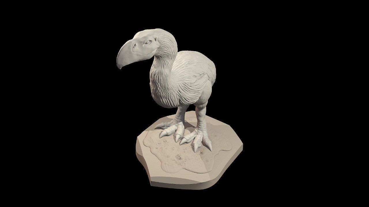 Prehistoric Terror bird 3D print model_8