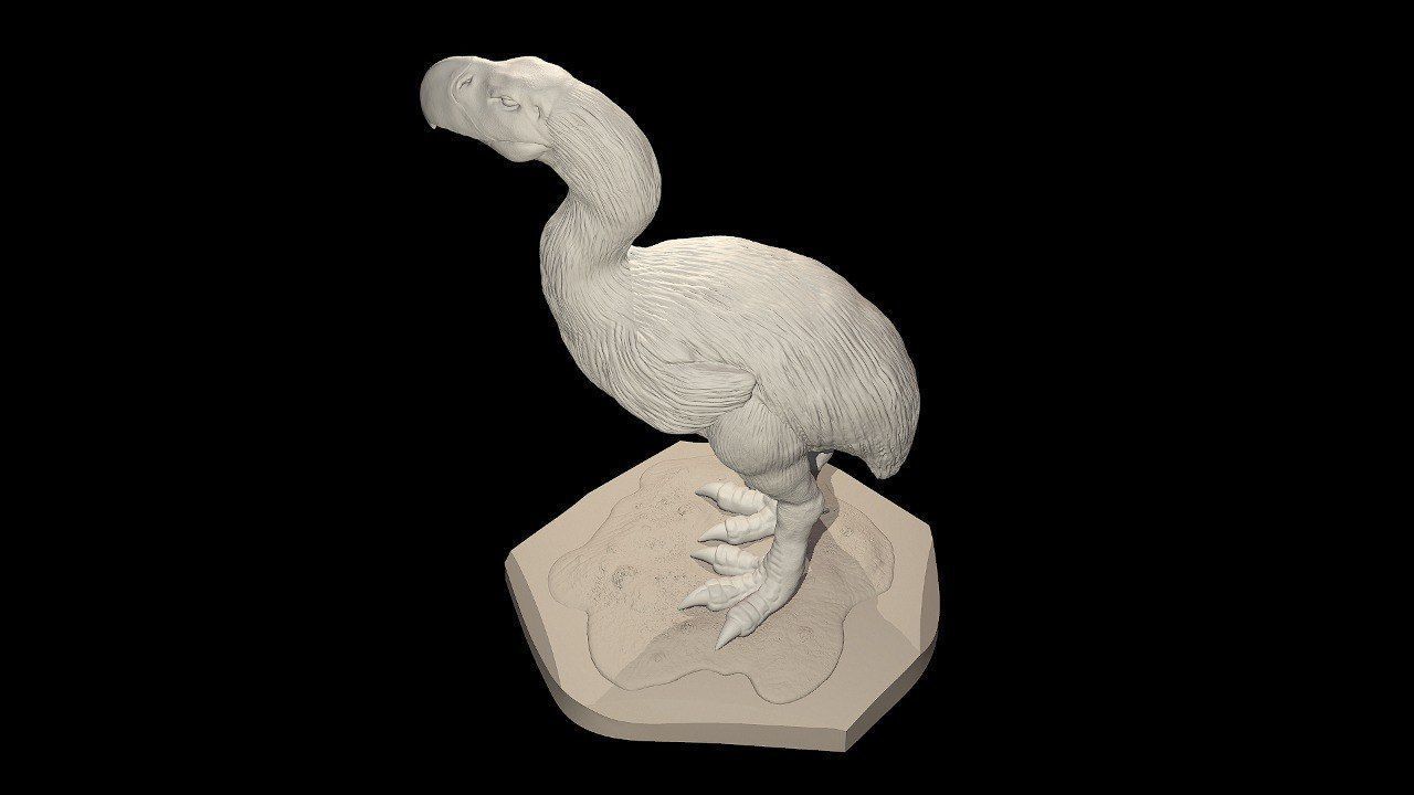 Prehistoric Terror bird 3D print model_9