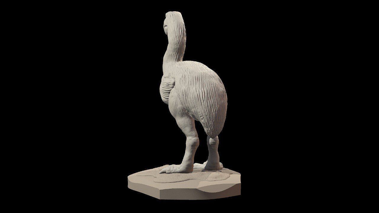 Prehistoric Terror bird 3D print model_6