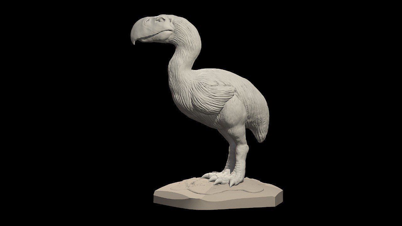 Prehistoric Terror bird 3D print model_4