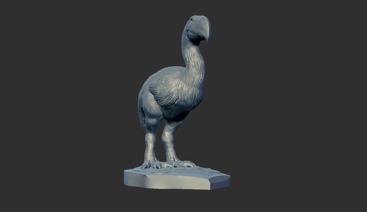 Prehistoric Terror bird 3D print model_15