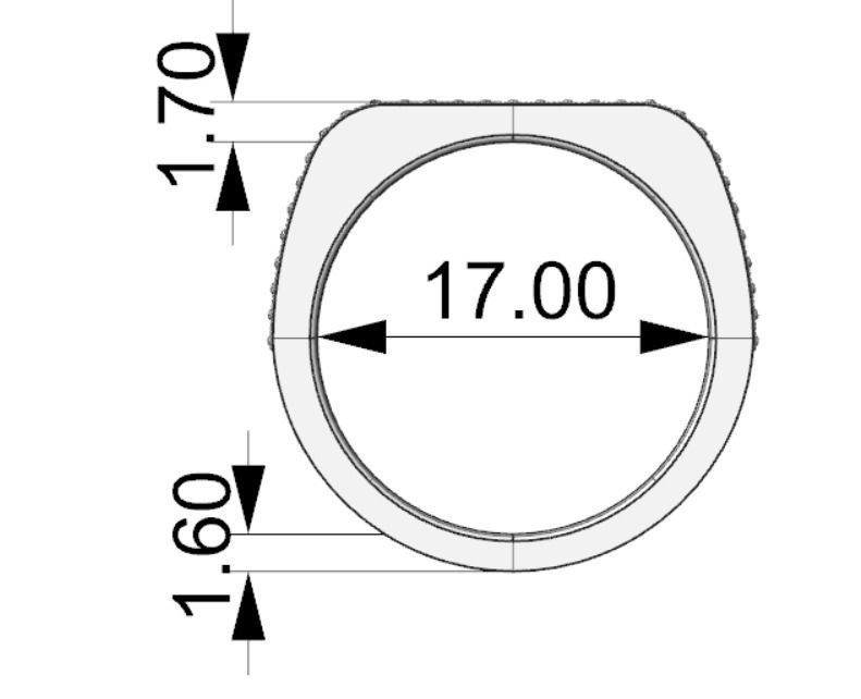 101 Ring 3D print model_2