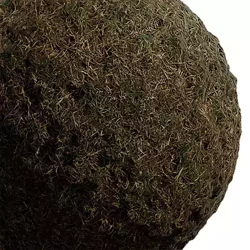 Grass Seamless Texture 2K - EXR 5 - JPG 5 Texture