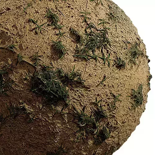 Grass Seamless Texture 2K - EXR 5 - JPG 5 Texture