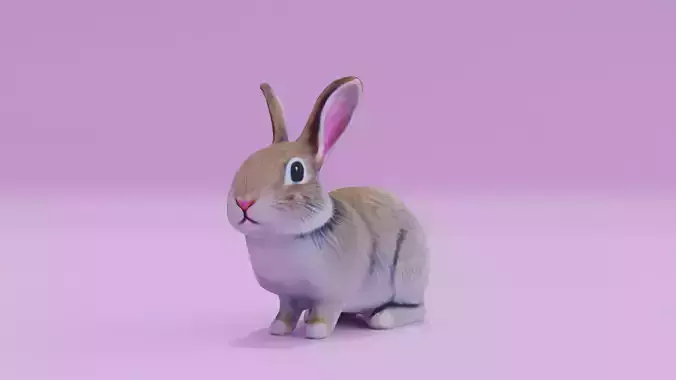 Easter Bunny Rabbit Realistic