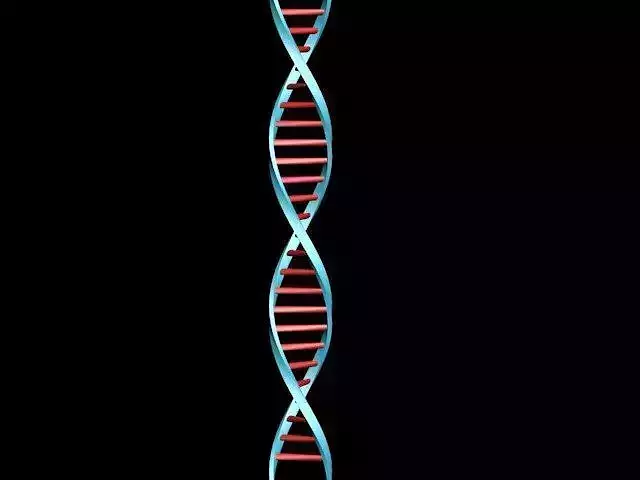 Deoxyribonucleic acid DNA Free 3D model