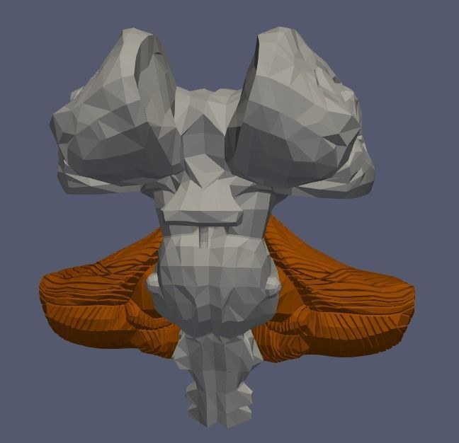 3D Model of Human Brain v2 3D model 3D print model_13