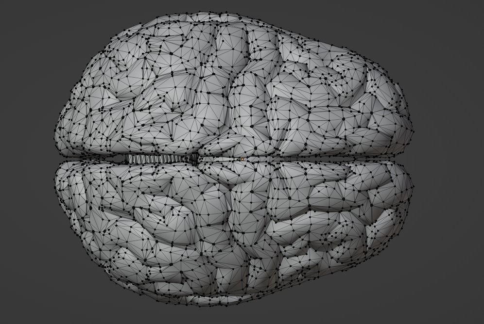 3D Model of Human Brain v2 3D model 3D print model_1