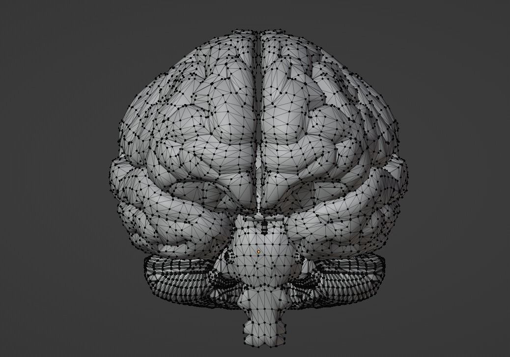 3D Model of Human Brain v2 3D model 3D print model_23