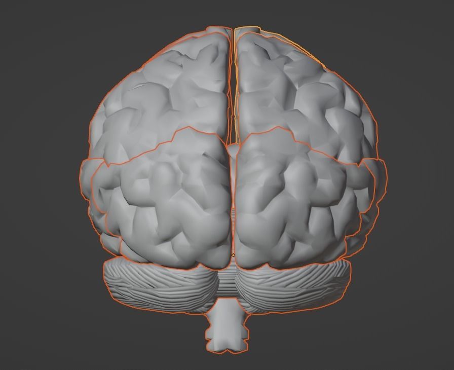 3D Model of Human Brain v2 3D model 3D print model_19