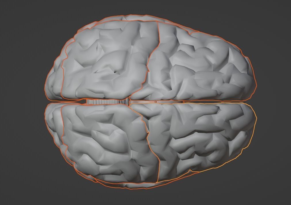 3D Model of Human Brain v2 3D model 3D print model_20