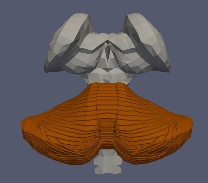 3D Model of Human Brain v2 3D model 3D print model_15