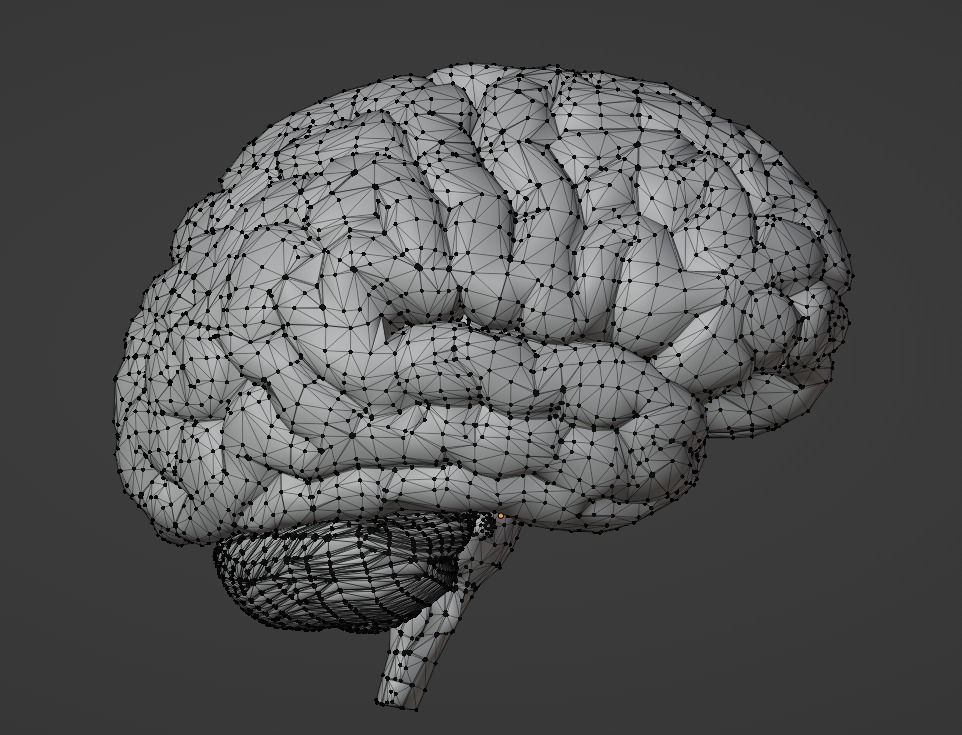 3D Model of Human Brain v2 3D model 3D print model_22