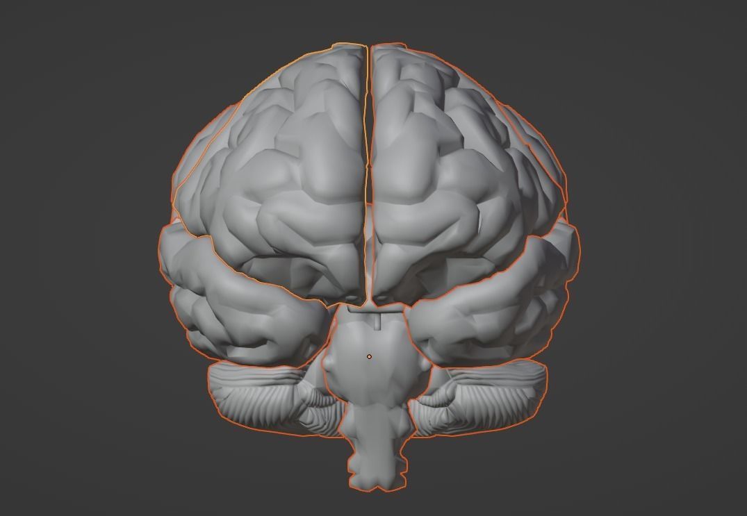 3D Model of Human Brain v2 3D model 3D print model_11