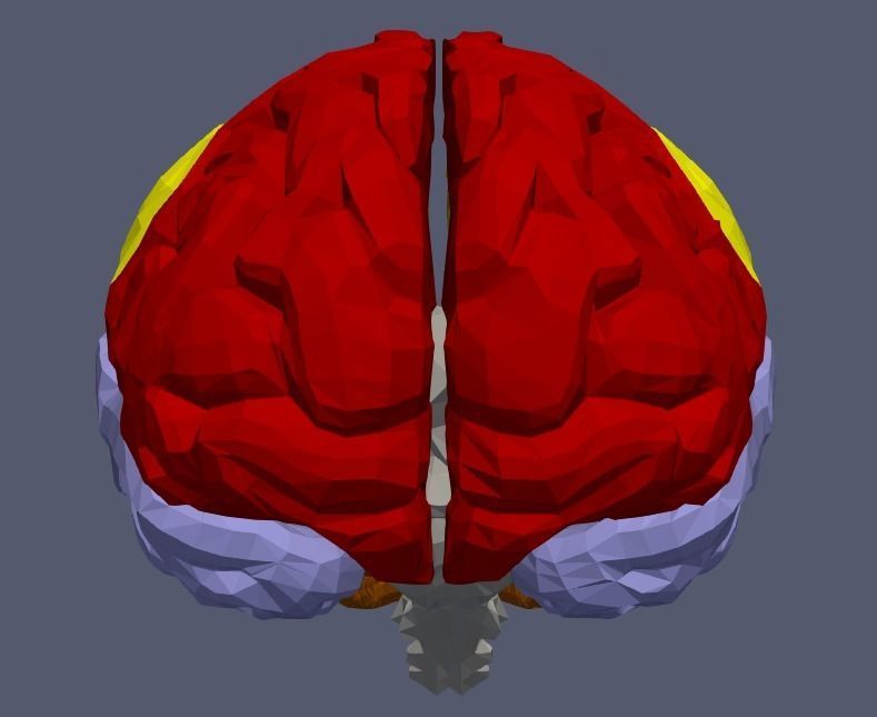 3D Model of Human Brain v2 3D model 3D print model_7