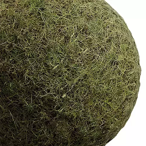 Grass Seamless Texture 2K - EXR 5 - JPG 5 Texture