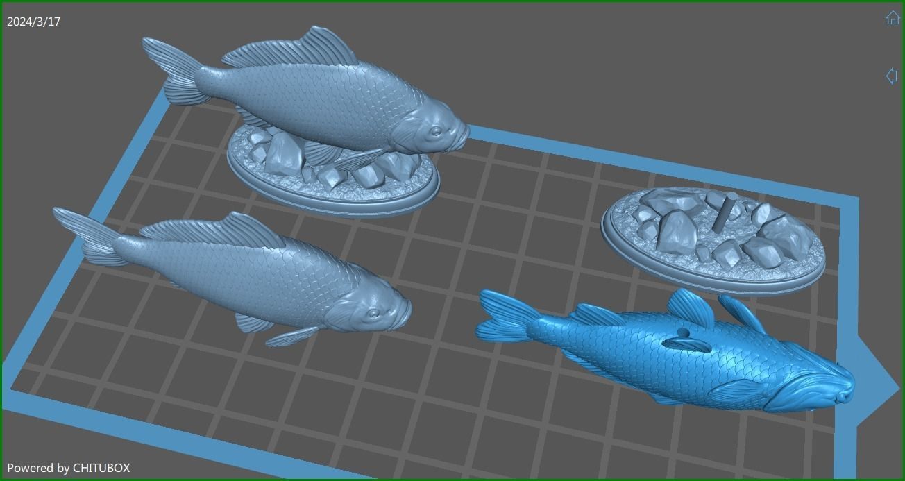 Carp fish on the base 3D print model_2