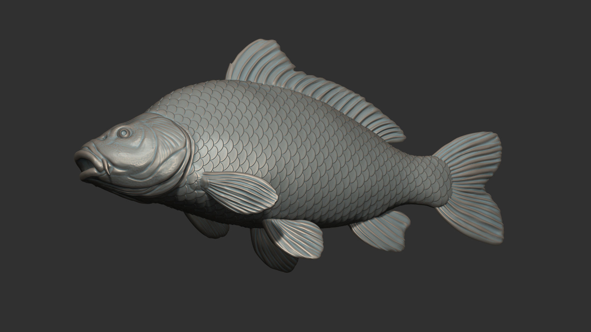Carp fish on the base 3D print model_16