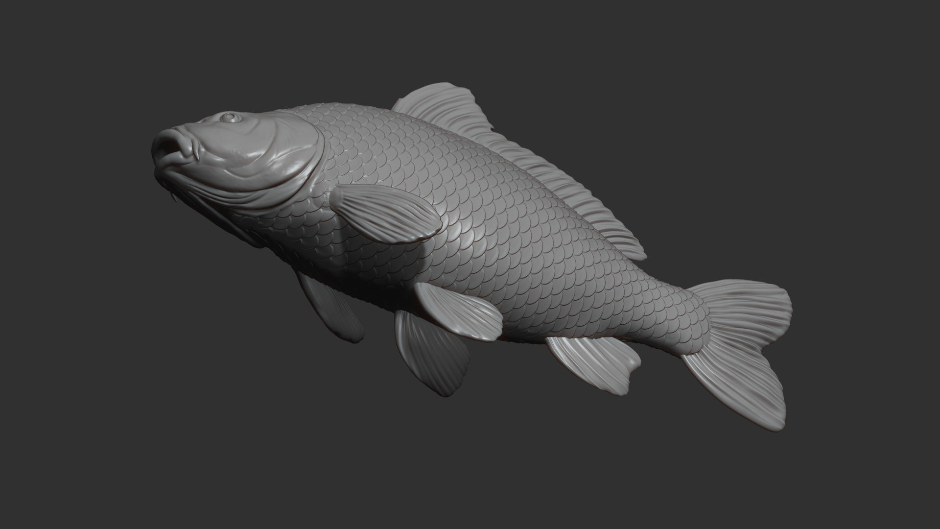 Carp fish on the base 3D print model_13